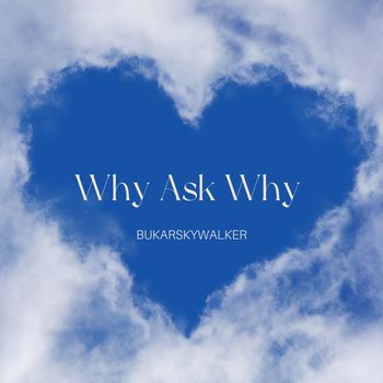 Why Ask Why (Uptempo Version) - BUKARSKYWALKER